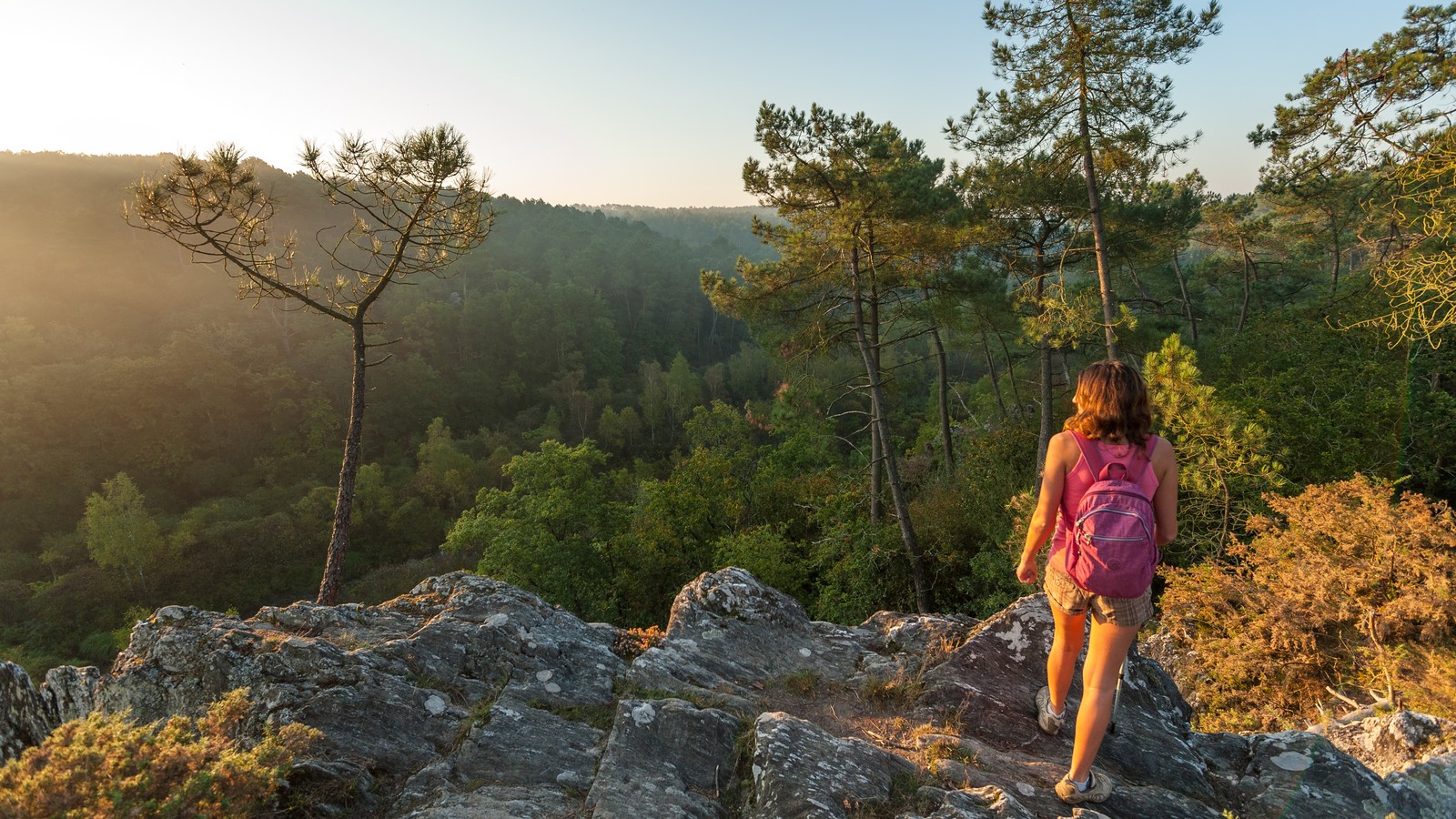 Saint-Dolay, sites naturels classés