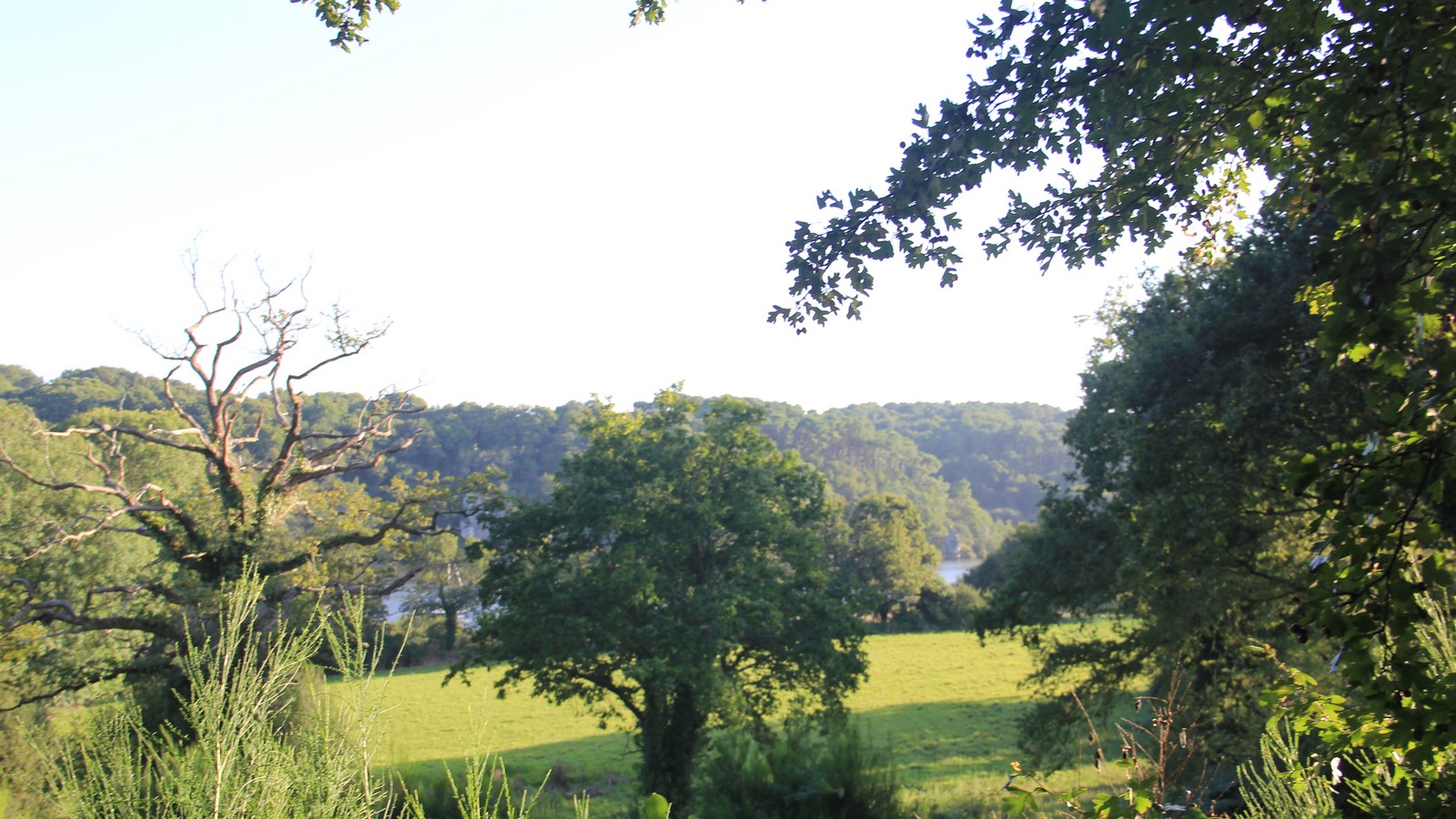 Marzan, en bords de Vilaine