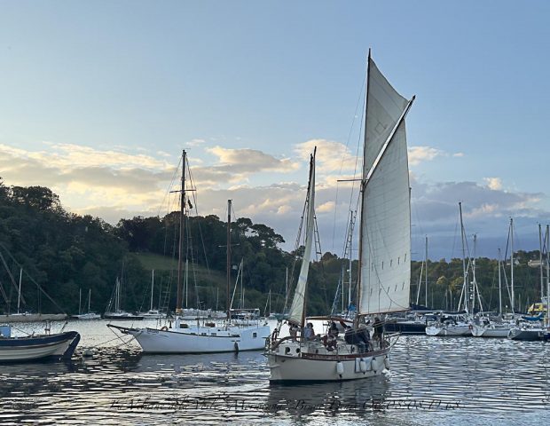 Le Morwenna La Roche-Bernard Morbihan