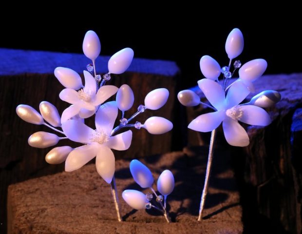 Les Fleurs de Maëlenn La Roche-Bernard Morbihan