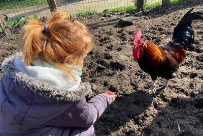 Eveil à la ferme Du 23 au 30 oct 2024