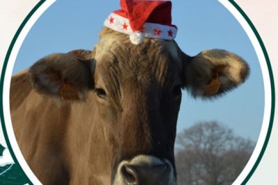 Noël à la Ferme Le 21 déc 2024