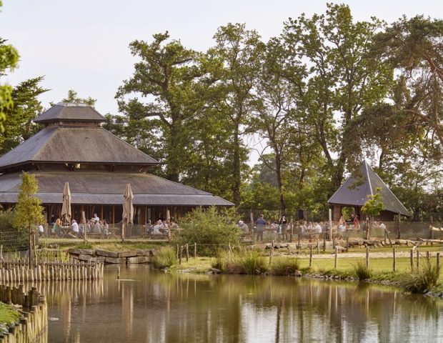 Restaurant groupe Parc Animalier Branféré Le Guerno