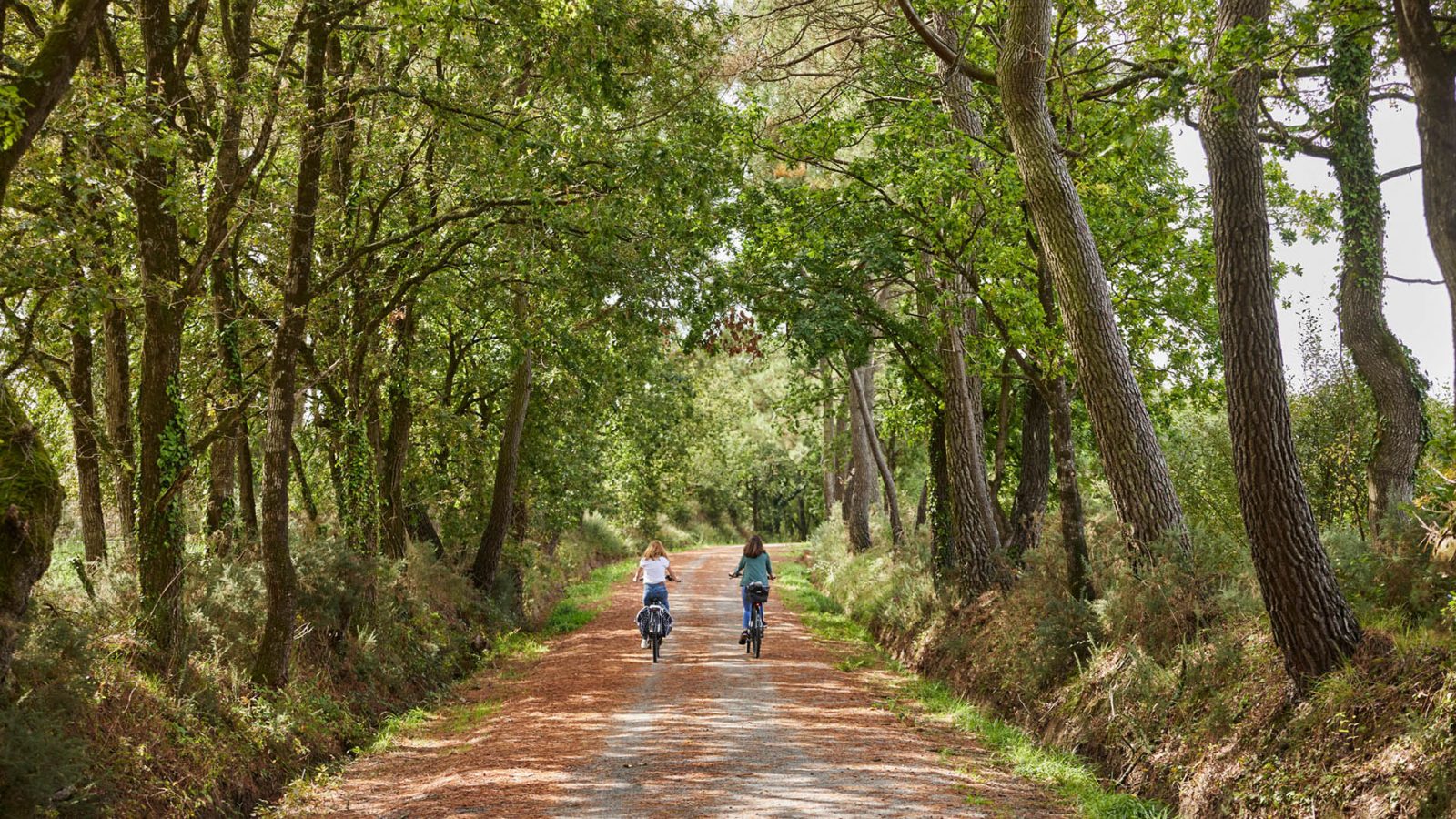 Circuit à vélo dans le Morbihan : notre sélection à tester ! 🚲