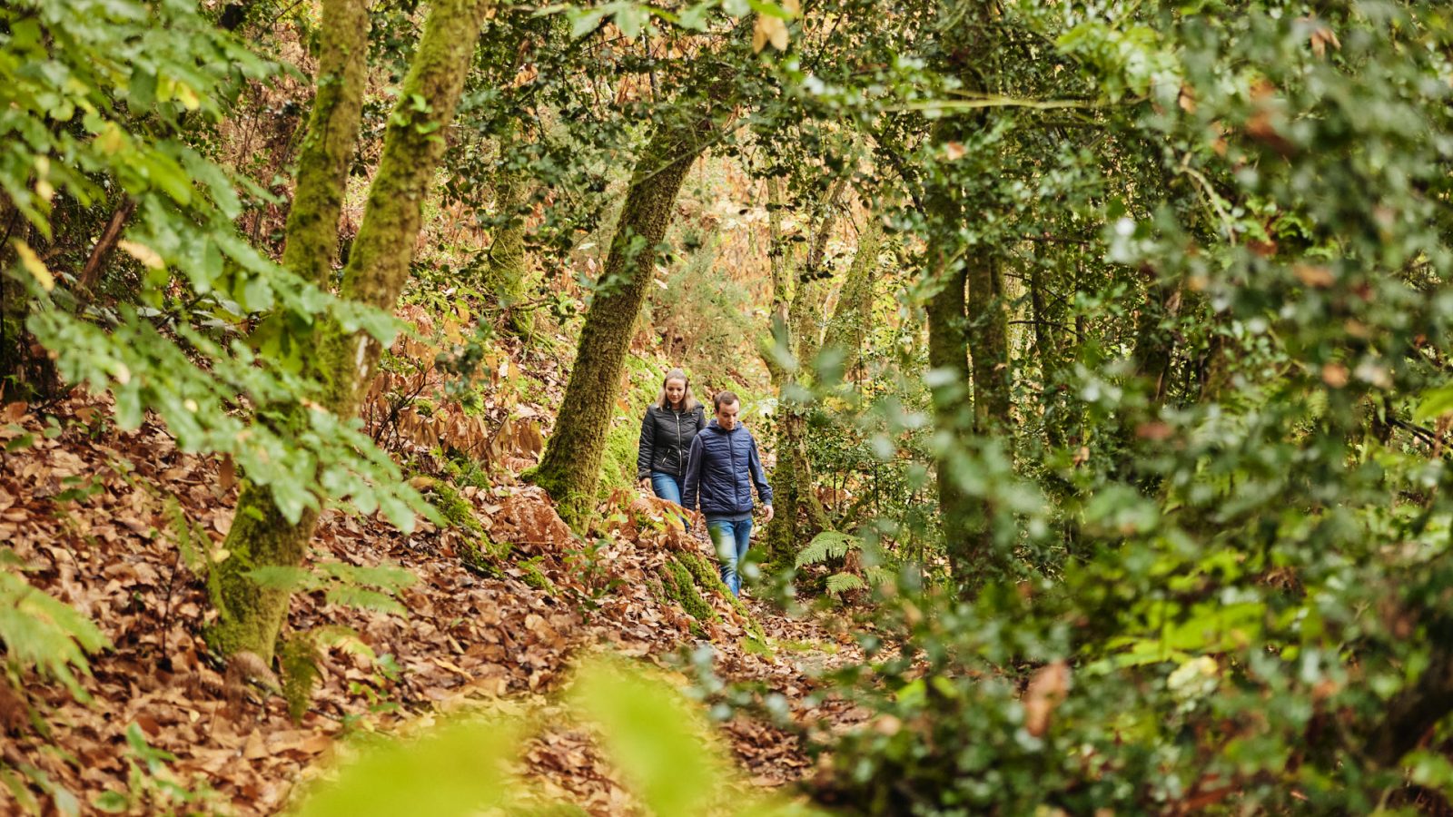 Week-end sportif en Bretagne Sud : nos idées pour se défouler